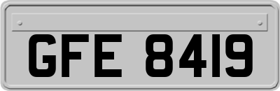 GFE8419