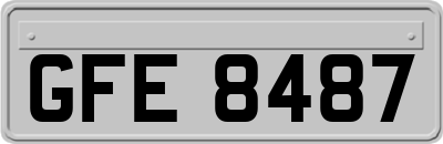GFE8487