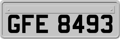 GFE8493