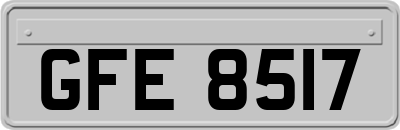 GFE8517