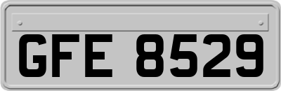 GFE8529