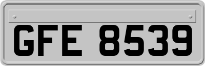 GFE8539