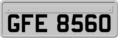 GFE8560