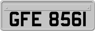 GFE8561