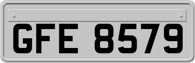 GFE8579