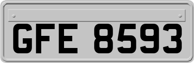 GFE8593