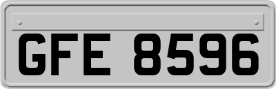 GFE8596
