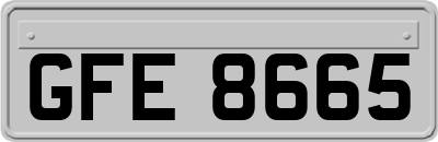GFE8665