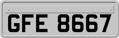 GFE8667