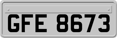 GFE8673