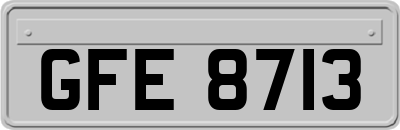 GFE8713
