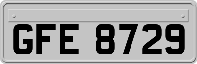 GFE8729