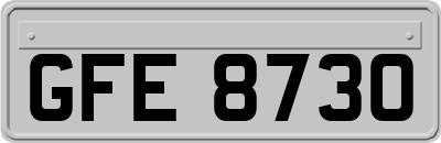 GFE8730