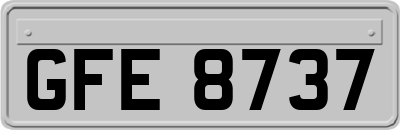GFE8737
