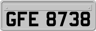GFE8738
