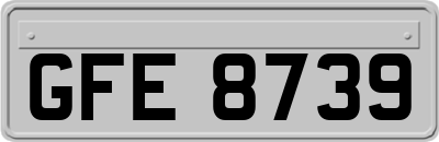 GFE8739