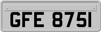 GFE8751