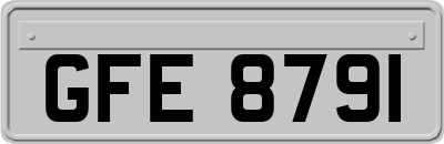 GFE8791