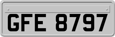 GFE8797