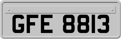 GFE8813