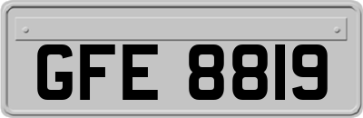 GFE8819