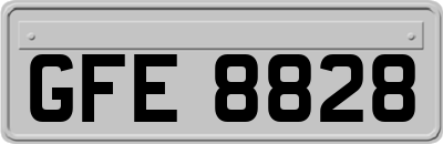 GFE8828