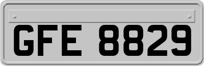 GFE8829