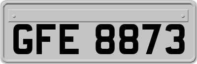 GFE8873
