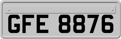 GFE8876