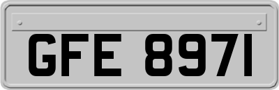 GFE8971