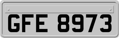GFE8973