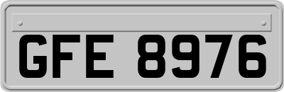 GFE8976