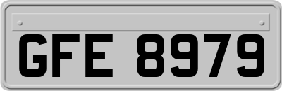 GFE8979