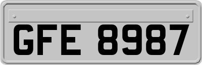 GFE8987