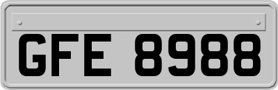 GFE8988
