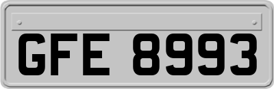 GFE8993