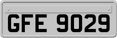 GFE9029