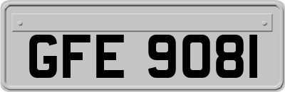 GFE9081