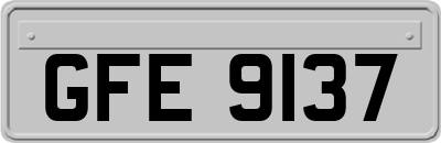 GFE9137
