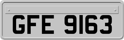 GFE9163