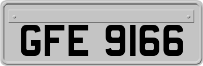 GFE9166