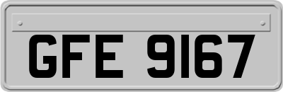 GFE9167