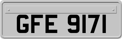 GFE9171