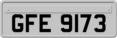 GFE9173