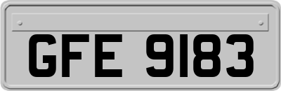 GFE9183