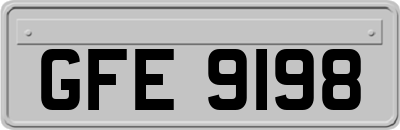 GFE9198