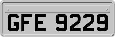 GFE9229