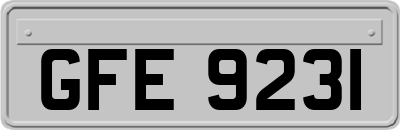 GFE9231
