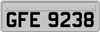 GFE9238