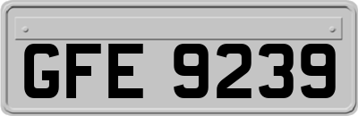 GFE9239